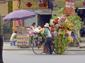 Rundreise Vietnam auf eigene Faust