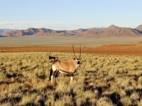 Namibia Bus-Rundreise