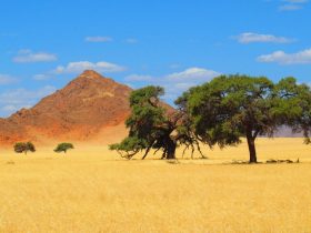 Bahnerlebnis: Afrikas Süden