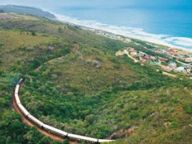 Rovos Rail – im Luxuszug durch Afrika