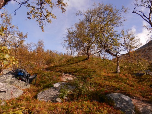 11Wandern in Schweden. Landschaftsbild mit Bäumen und Rucksack