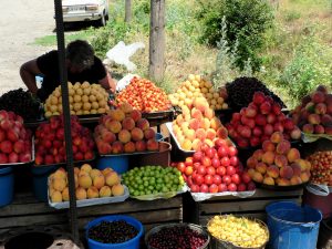 11Georgien. Obststand an der georgischen Heerstraße bei Pasanauri