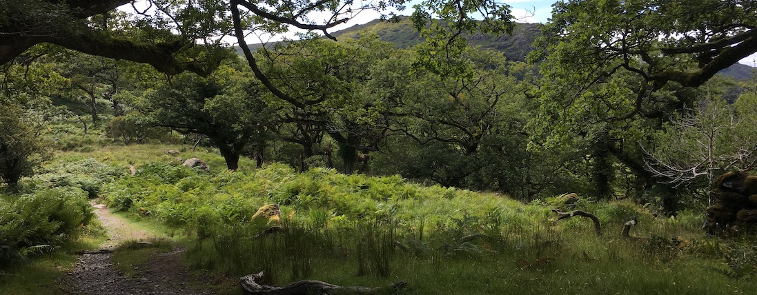 The Ring of Kerry - Bild mit Wanderweg